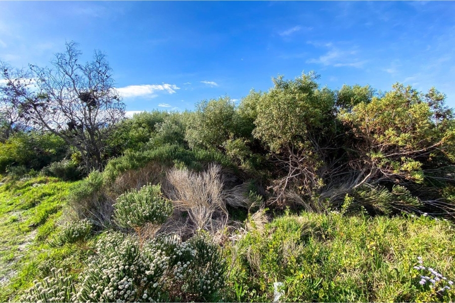 0 Bedroom Property for Sale in Bettys Bay Western Cape